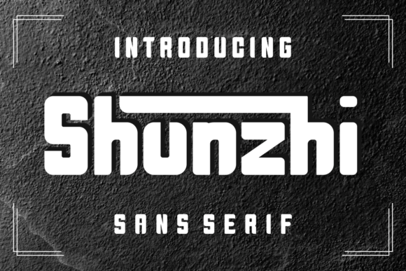 Shunzhi: A Modern Sans Serif Font for Bold Branding